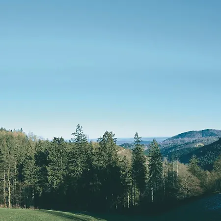 Luchs Quartier Hahnenklee