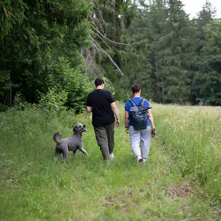 Luchs Quartier Hahnenklee Hotel Goslar