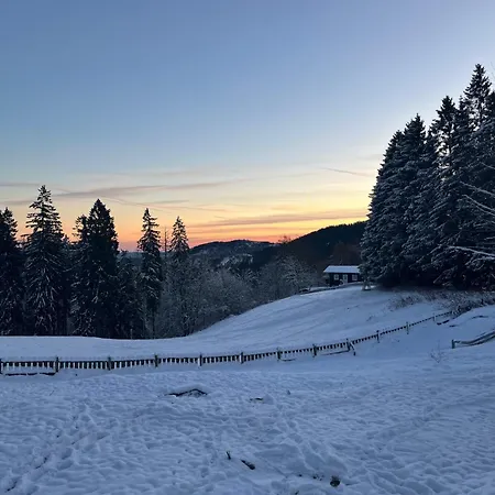 Luchs Quartier Hahnenklee Goslar